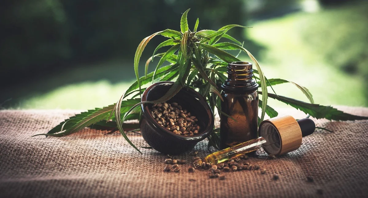 CBD-öljy Suomessa: säännöt ja tutkimustiedon rajat